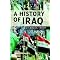Books for understanding the modern Middle East