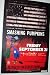 Samashing Pumpkins Poster - Concert Zeitgeist