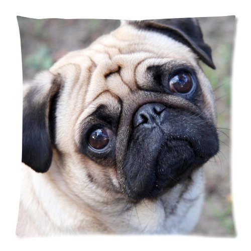 Charming Pug Dog Custom Zippered Pillow Case 18x18 (one side) Pillow18-342