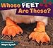 Whose Feet Are These? (Whose? Animal Series)