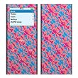 Skully Blue Design Decal Skin Sticker for Apple iPod nano 2G (2nd Generation) 2GB/ 4GB/ 8GB Player