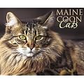 Maine Coon Cats