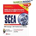 Sun Certified Enterprise Architect for Java EE Study Guide (Exam 310-051) (Certification Press)