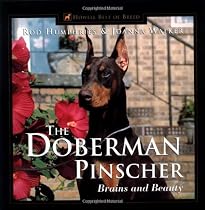 The Doberman Pinscher: Brains and Beauty