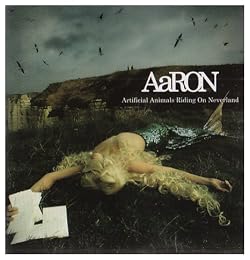 Aaron Foto 2