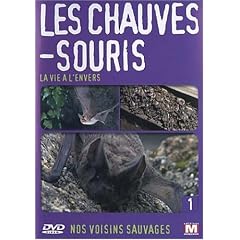 Nos voisins sauvages : Les chauves-souris : La vie � l'envers