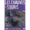 Nos voisins sauvages : Les chauves-souris : La vie � l'envers