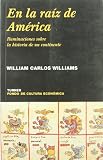 En la raíz de América : iluminaciones sobre la historia de un continente