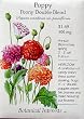 Heirloom Poppy Peony Double Blend Heirloom Seeds 600 Seeds