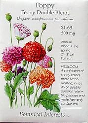 Heirloom Poppy Peony Double Blend Heirloom Seeds 600 Seeds