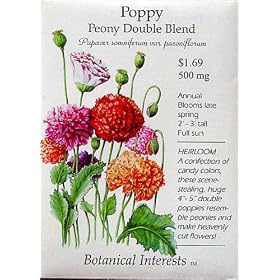 Heirloom Poppy Peony Double Blend Heirloom Seeds