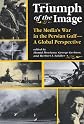 Triumph of the Image (Critical Studies in Communication & in the Cultural Industries)