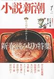 小説新潮 2012年 01月号 [雑誌]