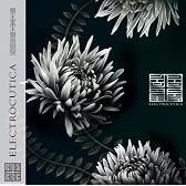 REVERSUS【旧版生産終了】