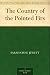The Country of the Pointed Firs