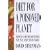Diet For A Poisoned Planet: How to Choose Safe Foods for You and Your Famiily