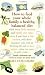 How to Feed Your Whole Family a Healthy Balanced Diet, with Very Little Money and Hardly Any Time, Even If You Have a Tiny Kitchen, Only Three ... - Unless You Count the Garlic Crusher...