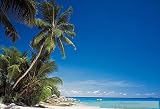 A Tropical Paradise Wall Mural