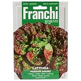 野菜の種 レタス PASSION BRUNE 79/31