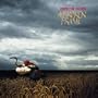 Broken Frame (W/Dvd)