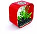 biOrb Life 30 Aquarium, 8 Gallons, Chill Red