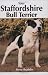 Your Staffordshire Bull Terrier