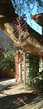 Stained Glass Dragonfly Windchime 99855