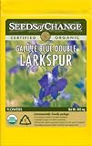 Organic Galilee Blue Double Larkspur - 50 Seeds