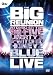 The Big Reunion Live 2013 [DVD]