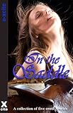 In the saddle : a collection of five erotic stories
