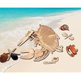 Puzzled Common Shore Crab 3D Natural Wood Puzzle