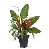 Mixed Silk Tropical Arrangement: Orange Red - B001DQF49M