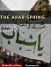 Current Events: Arab Spring (Illustrated)