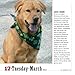 365 Dogs 2015 Calendar