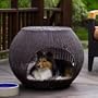 Indoor / Outdoor Igloo Pet Bed