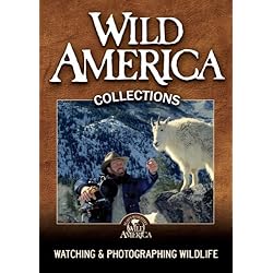 Watching & Photographing Wildlife Collection