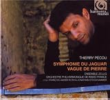 Symphonie du jaguar (la) vague de pierre