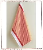 Vivid Stripe Dish Towel - Orange