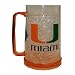 Miami Florida Hurricanes 16oz Crystal Pilsner