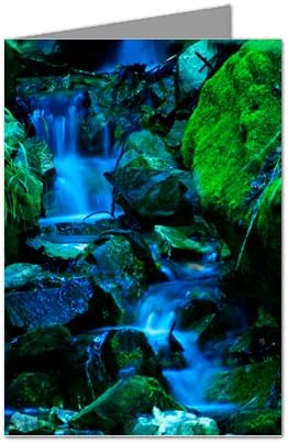 Waterfall in Muir Woods Notecard set