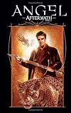Angel, Volume 5: Aftermath (Angel (IDW Hardcover))