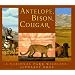 Antelope, Bison, Cougar: A National Park Wildlife Alphabet Book