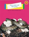 Grass snakes and their young