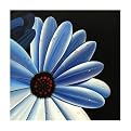 Aren 1115 Original Hand-Painted Oil on Canvas by Carl Sebastian- 32x32"