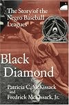Black Diamond: The Story of the Negro Baseball Leagues