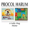 A Salty Dog/Home