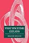 What Spacetime Explains: Metaphysical Essays on Space and Time
