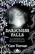 Darkness Falls (Immortal Beloved)