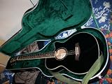 Ibanez Acoustic Guitar