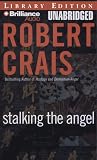 Stalking the Angel